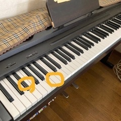 ELEPIAN COLUMBIA （4/23までにお渡しできると助かります）の画像