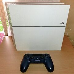 PlayStation4 本体(おまけ付き)