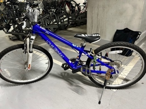 ルイガノ　24インチジュニア