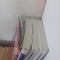 とある魔術の禁書目録　ノベライズ　小説の画像