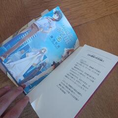とある魔術の禁書目録　ノベライズ　小説の画像