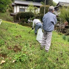 たけのこ・竹の子・筍、掘り体験＋取り放題