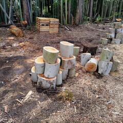 【薪割り済】自然木・伐木★薪★約軽トラック一台🍀　グランピング、キャンプファイヤー、薪ストーブにいかがでしょうか？　の画像