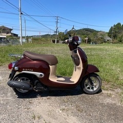 ホンダ　ジョルノ　AF77の画像
