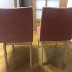 ダイニングチェアの画像