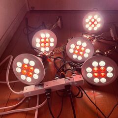 食品用高演色LEDライト クリップライトコードセット  開業資金を抑えたい方への画像
