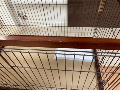 犬 ゲージ 