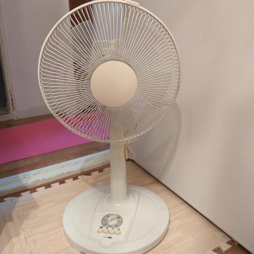 扇風機　早い物勝ち!