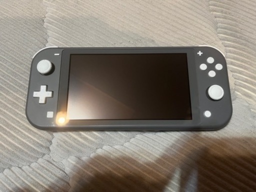 Switchライト【スターターセット】