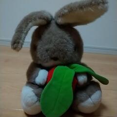 オオイケのぬいぐるみ