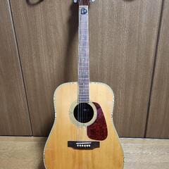 【弦新品】クリーニング済Morris MD-506モーリスアコースティックギター MorrisのMD506 | 好きに勝手にいろんな楽器