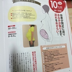 はじめてママandパパの妊娠、出産の画像