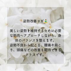 ☆ヨガレッスン￥1,000☆の画像