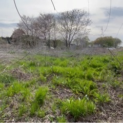 茨城県桜川市大国玉 ＃135 不動産0円物件 - 不動産