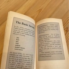 【取引中】ニューヨークで買ったスラング辞書の画像