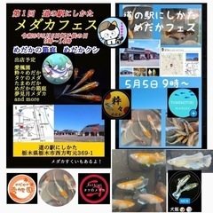5月5日　にしかたメダカフェス