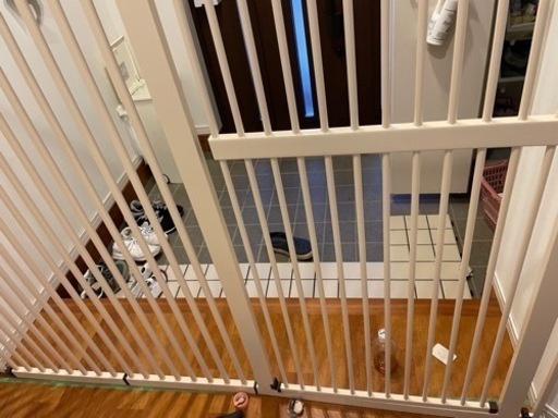 ペットゲート　猫　脱走防止　raku