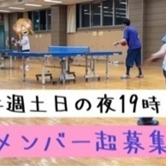 平塚で卓球を！