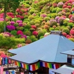 【女性主催】🌸皆んなでハイキング､塩船観音つつじ祭りに行こう😇 