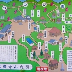 【女性主催】🌸皆んなでハイキング､塩船観音つつじ祭りに行こう😇  - 地域/お祭り