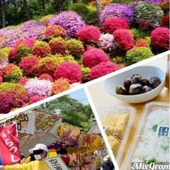【女性主催】🌸皆んなでハイキング､塩船観音つつじ祭りに行こう😇  - 青梅市