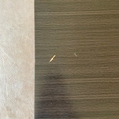 引き出し付こたつ　ダークブラウン　80×80の画像