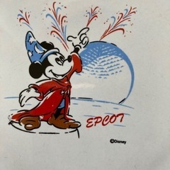 ☆ディズニー25周年記念プレート皿2枚セットの画像