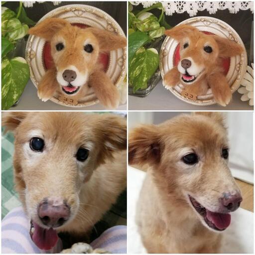 羊毛フェルトでペットちゃんを永遠に