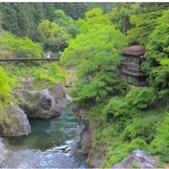 【女性主催】🍀鳩ノ巣渓谷☘️森の中の絶景カフェに行こう☕️