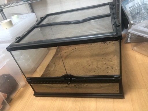 グラステラリウム 4530