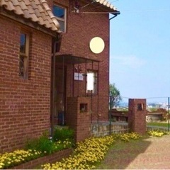 増えるガザニア♪大量株分け･:*+.の画像