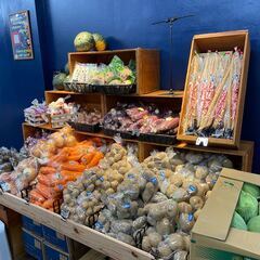 ☆昨年オープンのキレイなお店☆密着型八百屋の販売スタッフの画像