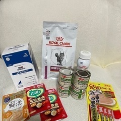 猫の餌　の画像