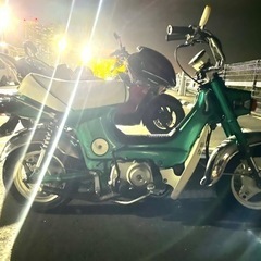 角目シャリー売ります