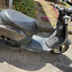 ホンダ、トゥデイの画像