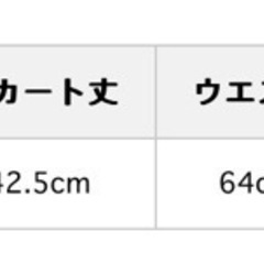 RETRO GIRL 台形レザースカートの画像