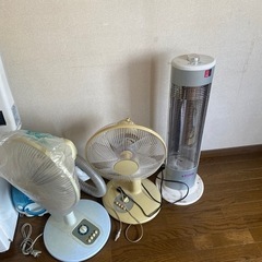 引き取り希望の画像