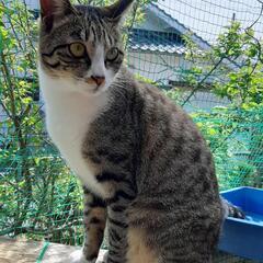 性格◎なイケメンくん