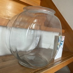 太鼓鉢　金魚鉢　メダカ鉢の画像