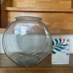 太鼓鉢　金魚鉢　メダカ鉢