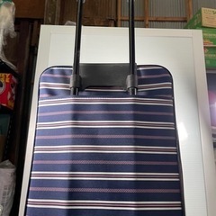 キャリーバッグ布製の画像