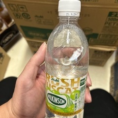 お買い得！　ウィルキンソン炭酸水　クラッシュマスカット22本＆クラッシュグレープフルーツ12本セットの画像
