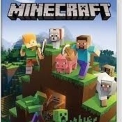 Minecraft マインクラフト Switch