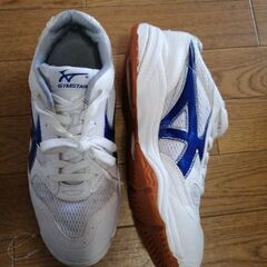 26センチの画像