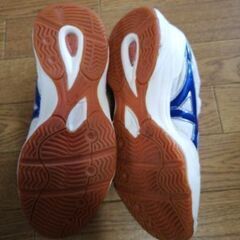 26センチの画像