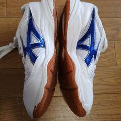 26センチの画像