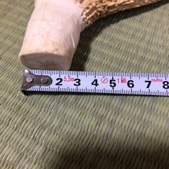 鹿の角の画像
