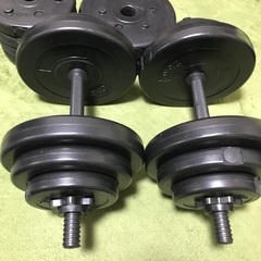 カインズ　砂ダンベル10kg×2 オマケで訳あり10kg