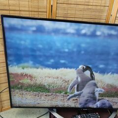 SHARP 4kテレビLC-50U45   50インチ LC-50U45｜50インチクラス｜イベント映像事業｜映像センター