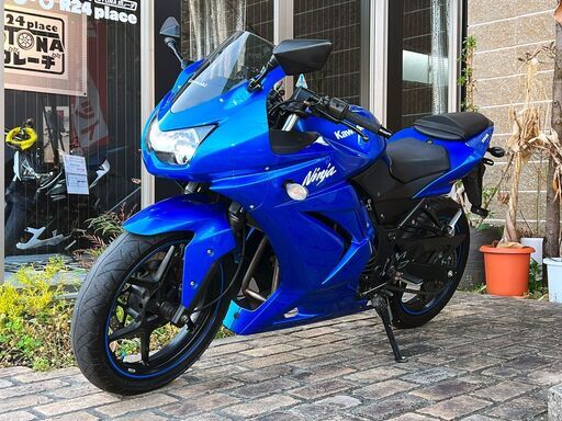 カワサキ Ninja250R 保証付 ブルー 武川バックステップ ETC デイトナバーエンド ニンジャ Kawasaki